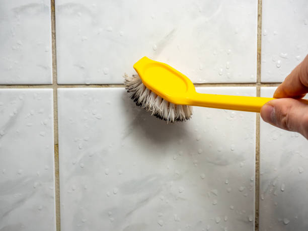 Best Commercial Mold Removal  in Flower Hill, NY
