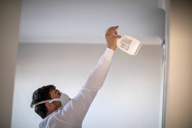 Attic Mold Removal in Flower Hill, NY