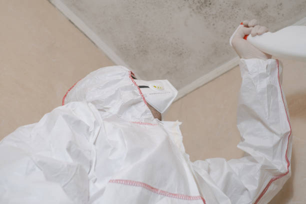 Best Professional Mold Removal  in Flower Hill, NY
